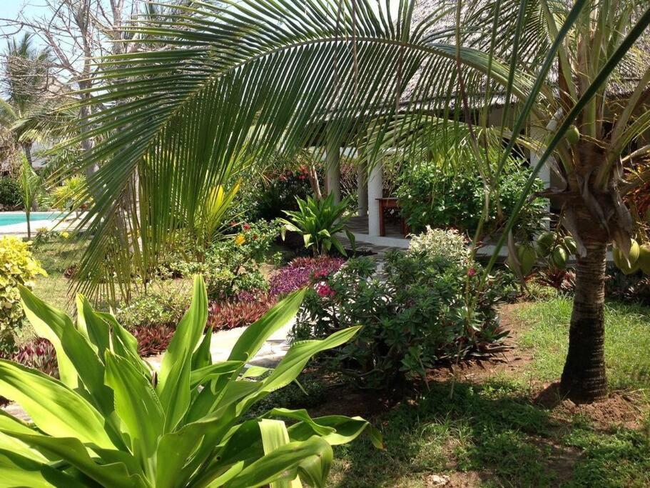 Luxury Simba House In Watamu ☆☆☆☆☆ Apartment Bagian luar foto